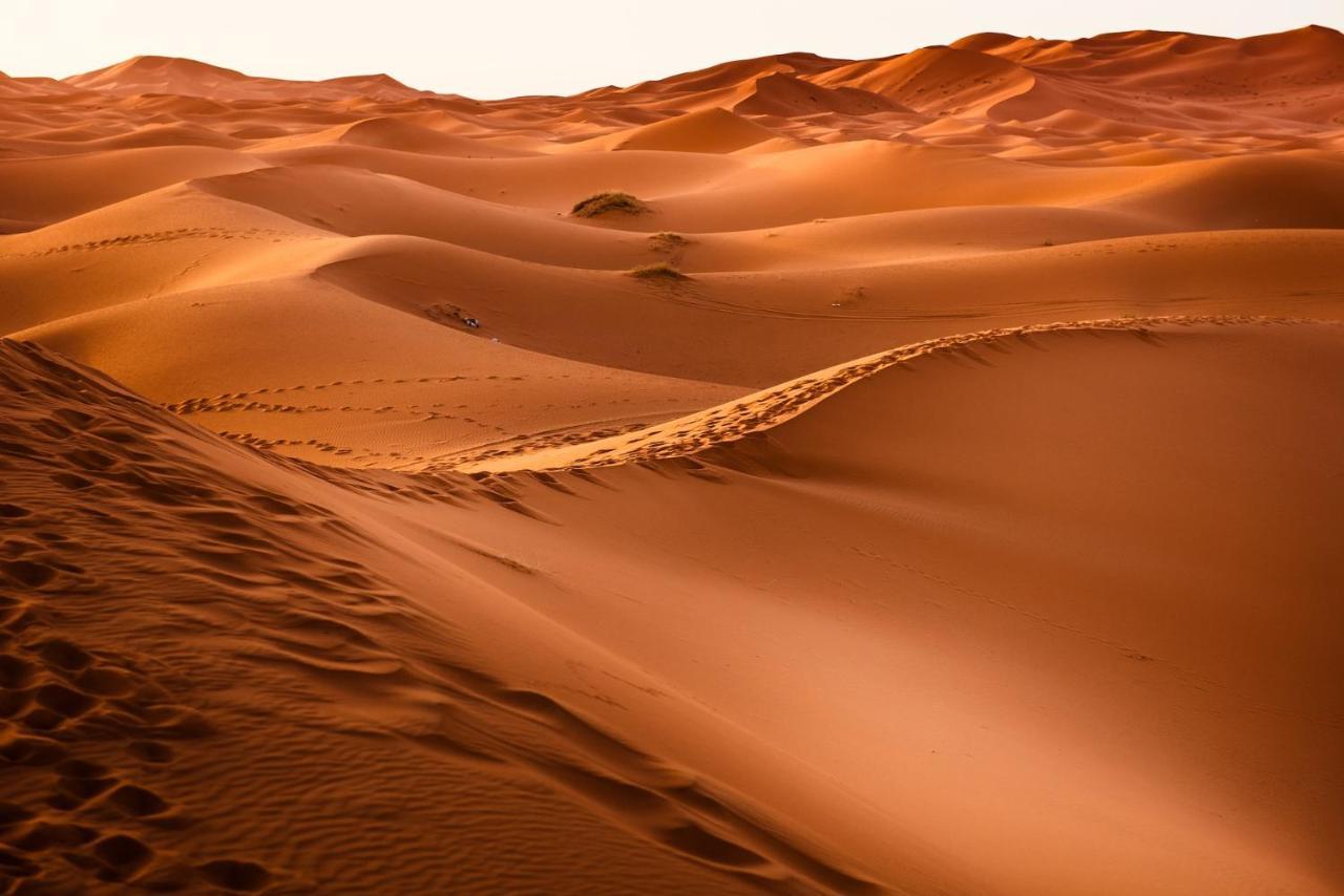 Paradis Touareg Zagora Extérieur photo