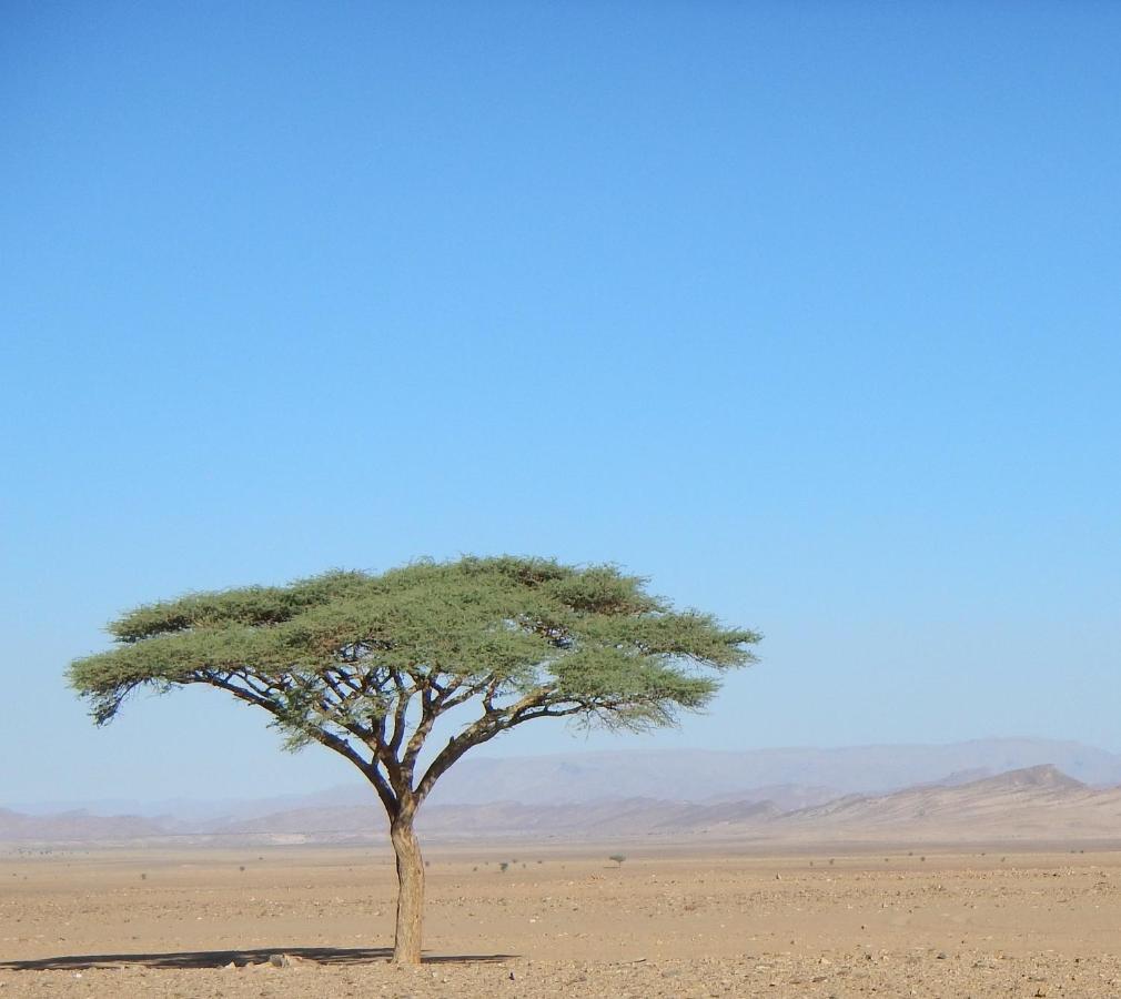 Paradis Touareg Zagora Extérieur photo